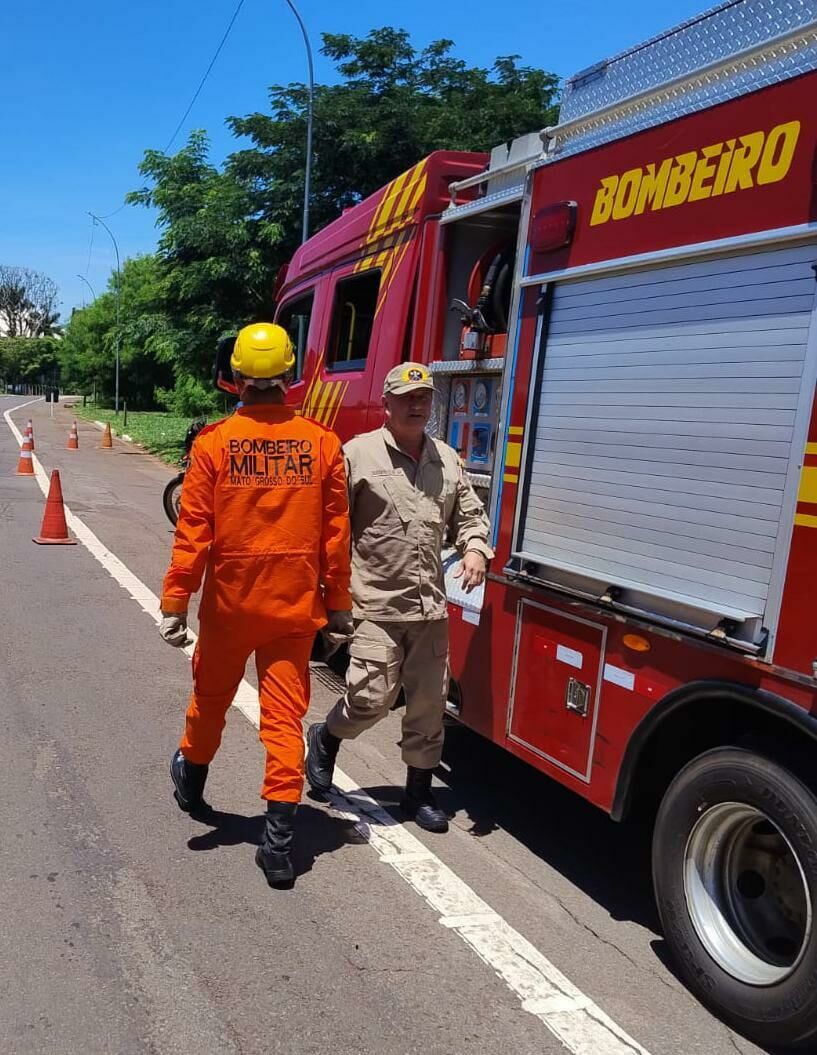 Imagem de compartilhamento para o artigo Idoso morre após árvore cair em cima dele durante poda em Campo Grande da MS Todo dia